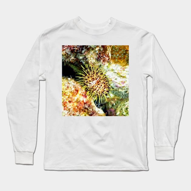 Jewell Sea Urchin on a Coral Reef Long Sleeve T-Shirt by Scubagirlamy